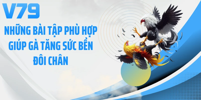 Những bài tập phù hợp giúp gà tăng sức bền đôi chân